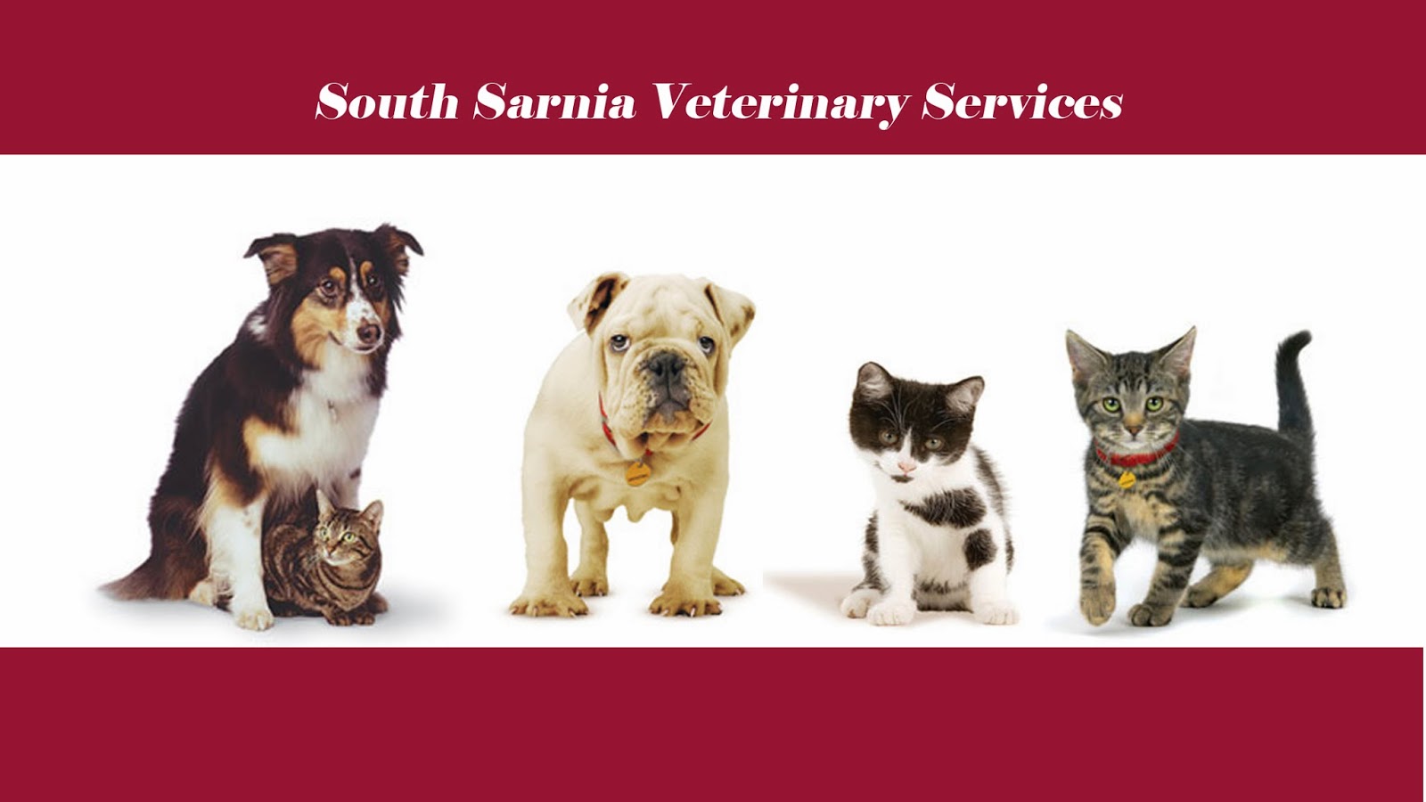 South Sarnia Veterinary Services - Sarnia , Canada