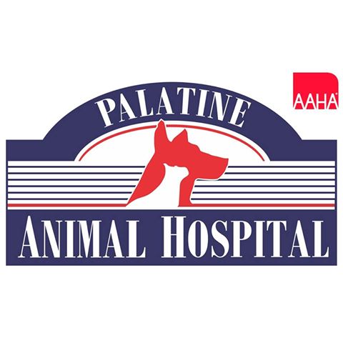Palatine Animal Hospital - Palatine , United States