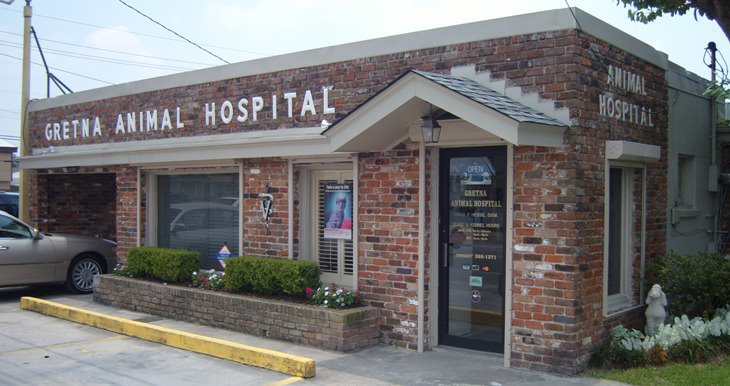 Vetco Total Care Animal Hospital - Harvey , United States