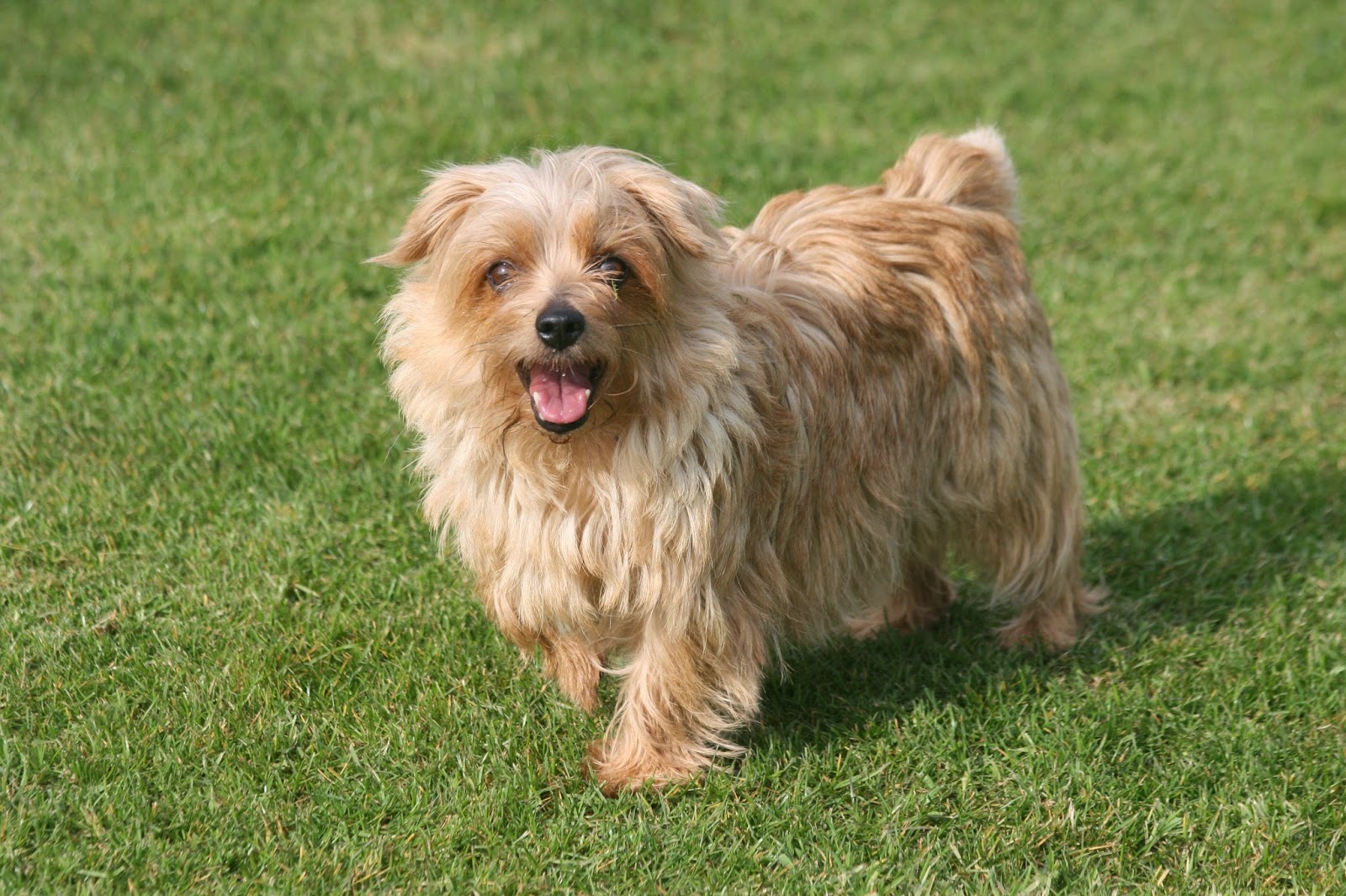 Paragon Veterinary Group - Penrith , United Kingdom