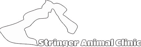 Stringer Animal Clinic - Springfield , United States