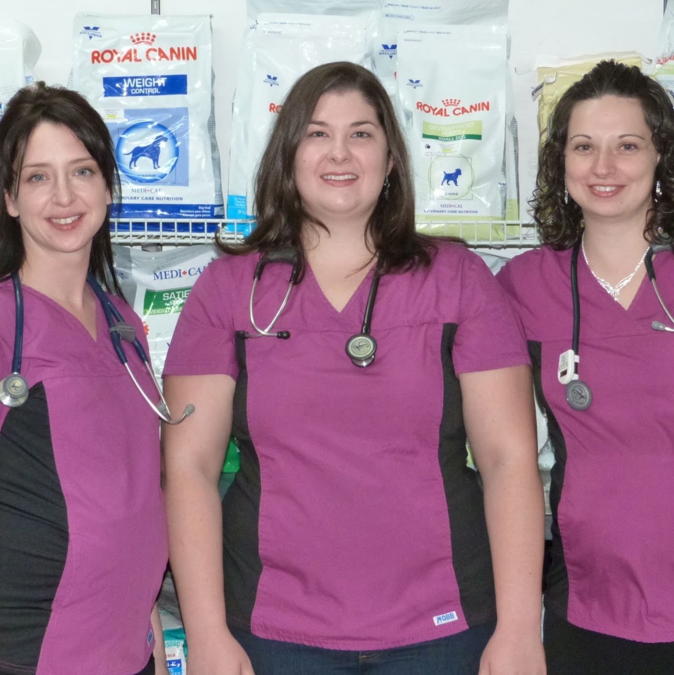 Clinique Vétérinaire De Thetford - Thetford Mines , Canada