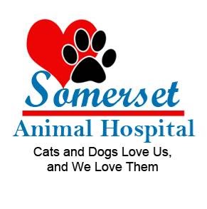 Somerset Animal Hospital - Somerset , United States