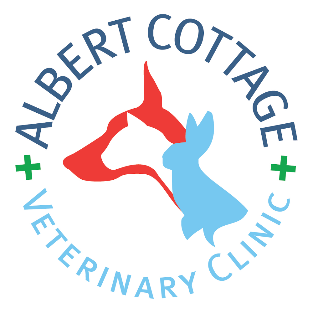 Albert Cottage Veterinary Clinic - Saltash , United Kingdom
