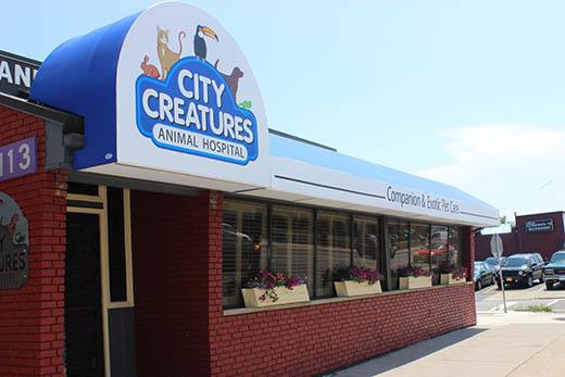 City Creatures Animal Hospital - Buffalo , United States