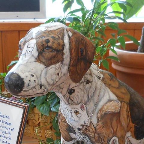 Gast Animal Hospital - Valparaiso , United States