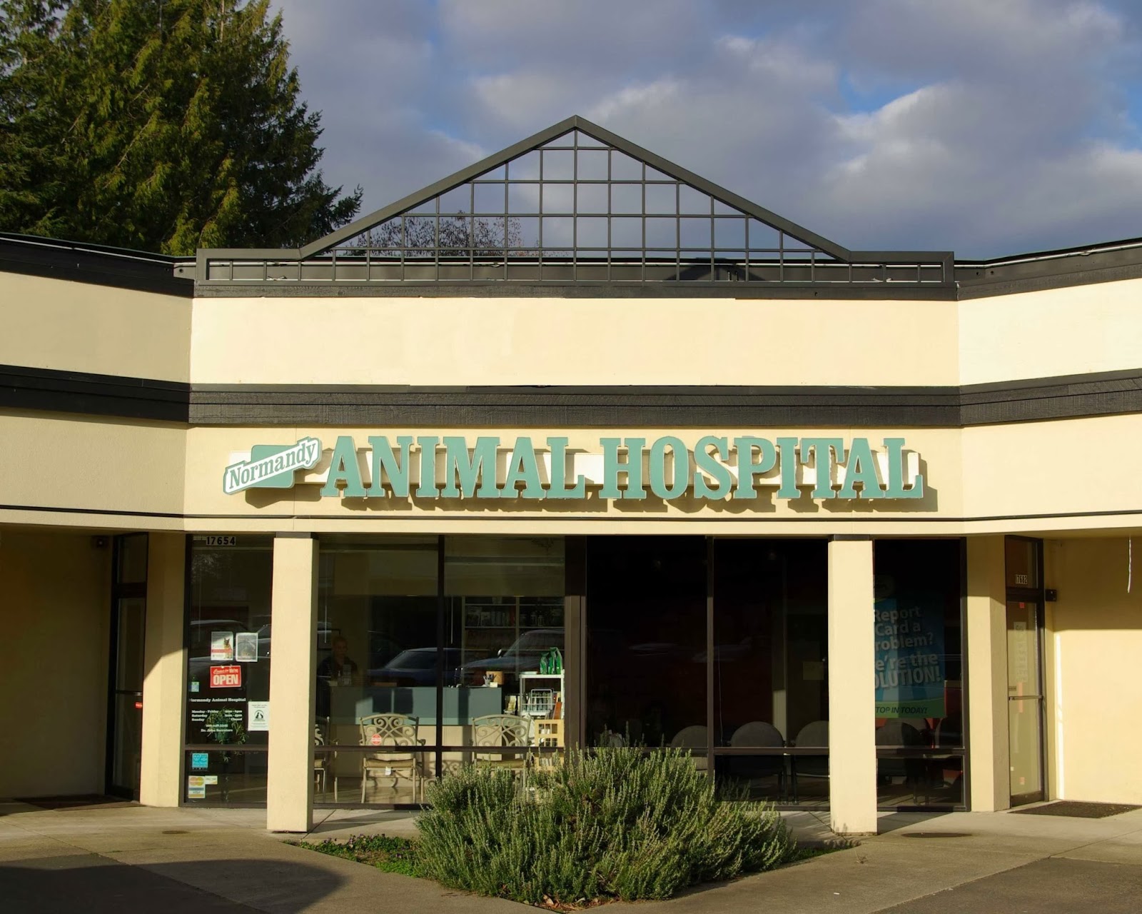 Normandy Animal Hospital - Burien , United States