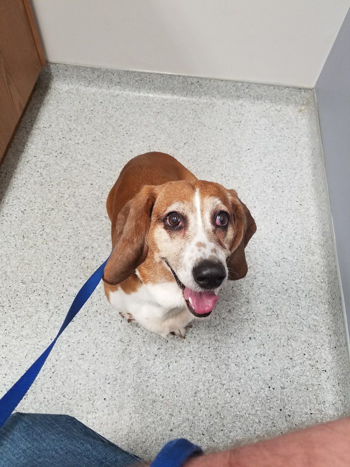 Trenton Animal Hospital - Trenton , United States