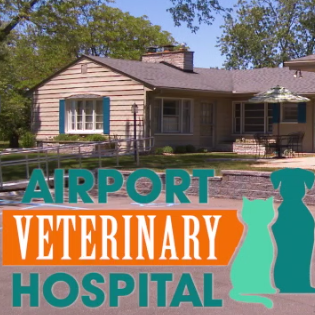Airport Veterinary Hospital - Waterford Twp , United States