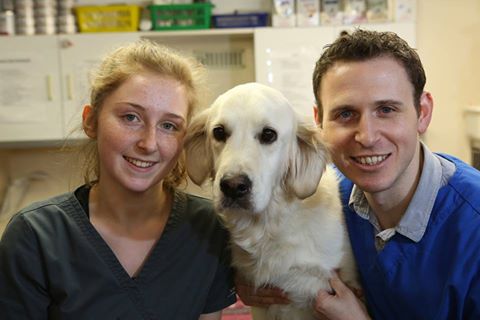 Beechwood Veterinary Group Chapel Allerton - Leeds , United Kingdom