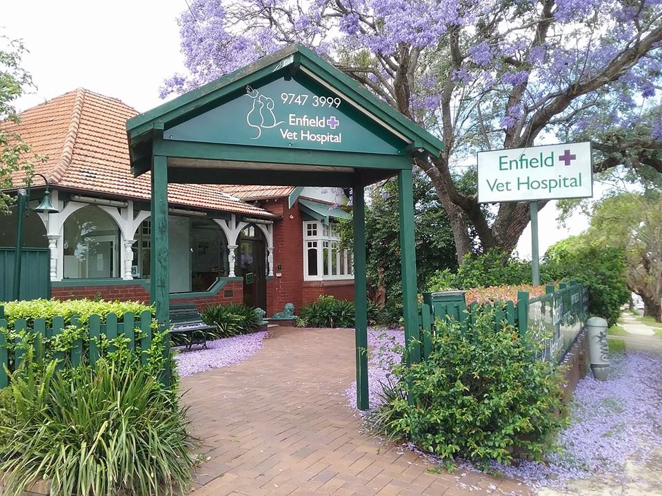 Enfield Veterinary Hospital - Enfield , Australia