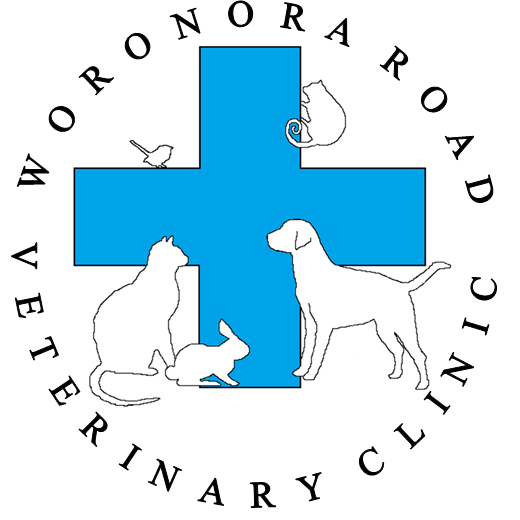 Woronora Road Veterinary Clinic - Engadine , Australia