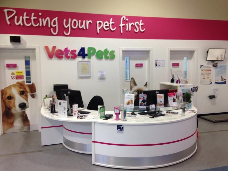 Vets4Pets Hertford - Hertford , United Kingdom