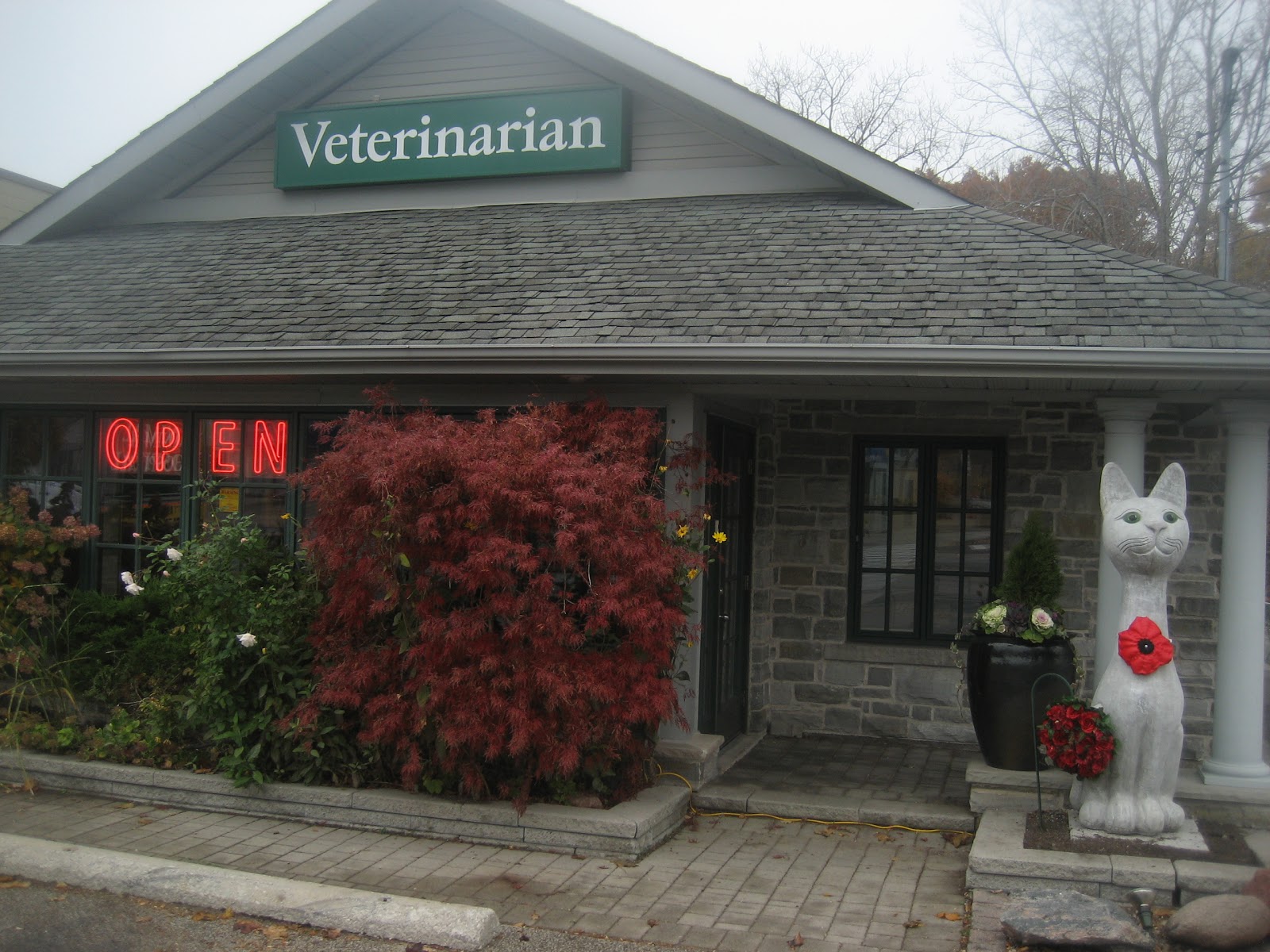 Clarkson Village Animal Hospital - Mississauga , Canada