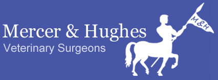 Mercer And Hughes Veterinary Surgeons - Dunmow , United Kingdom