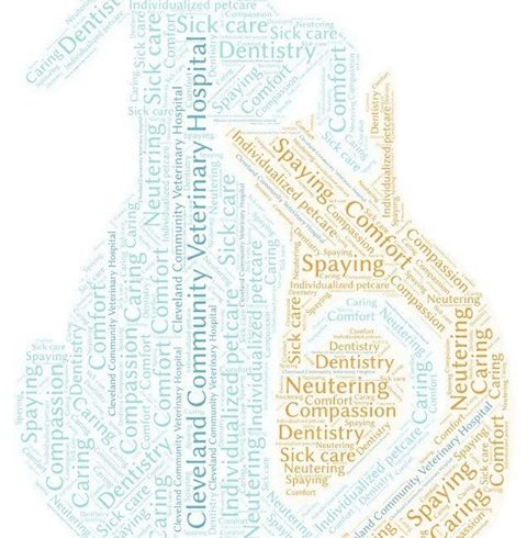 Cleveland Community Veterinary Hospital - Garner , United States