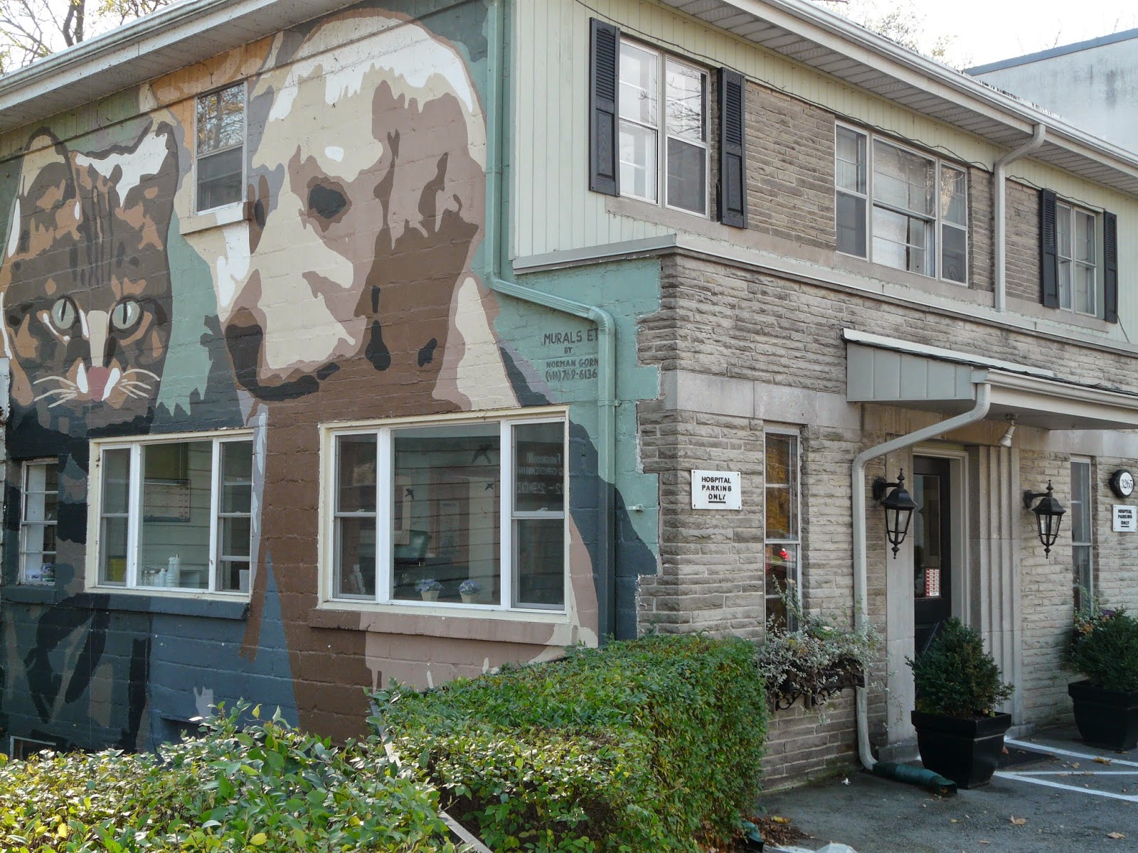 The Kingsway Animal Hospital - CA , Canada
