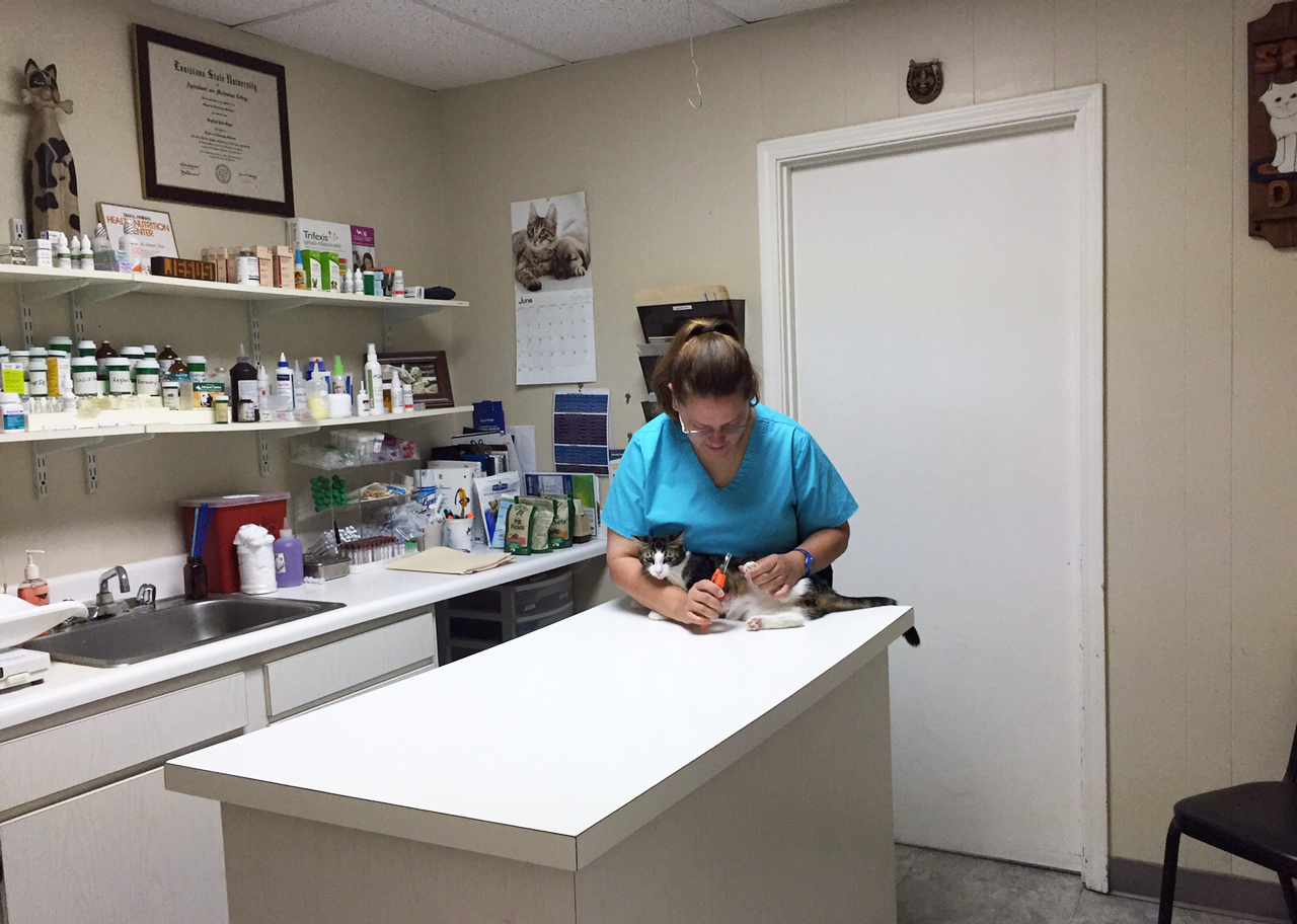 Metairie Small Animal Hospital Kenner Clinic - Kenner , United States