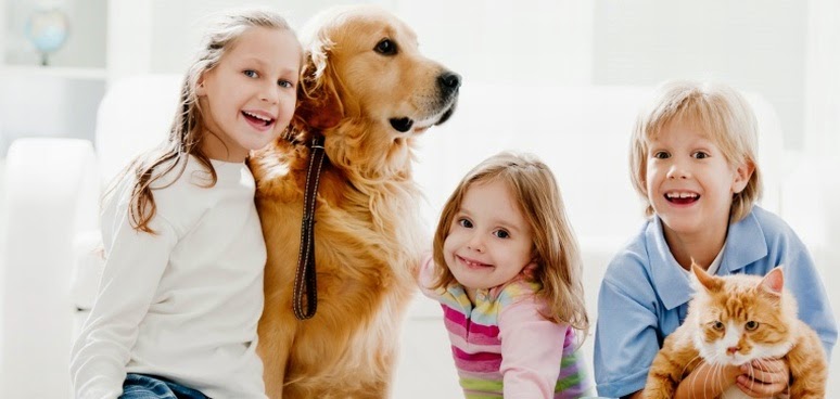 Encounter Bay Veterinary Clinic - Encounter Bay , Australia