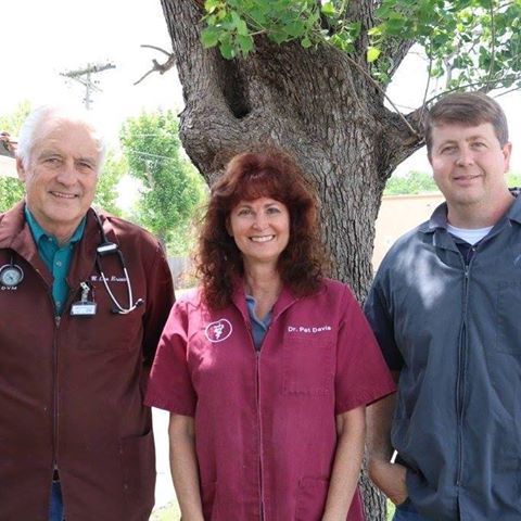 El Centro Pet Medical Center A Thrive Pet Healthcare Partner - Killeen , United States