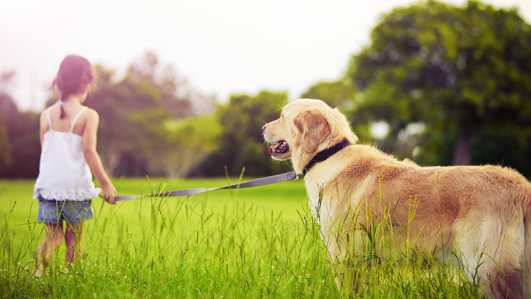 Lakeland Veterinary Services - North Battleford , Canada