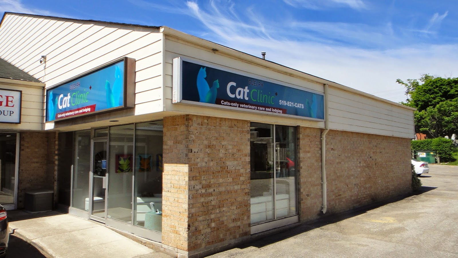 Guelph Cat Clinic - Guelph , Canada
