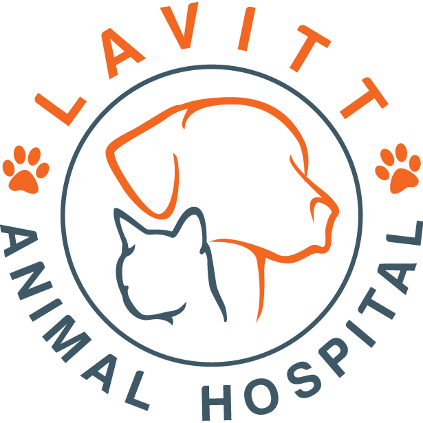 Lavitt Animal Hospital - Morton Grove , United States