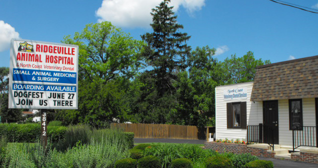 Ridgeville Animal Hospital - North Ridgeville , United States