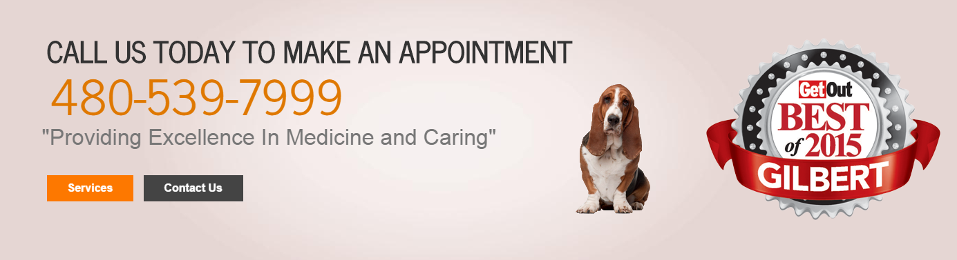 Val Vista Animal Hospital - Gilbert , United States