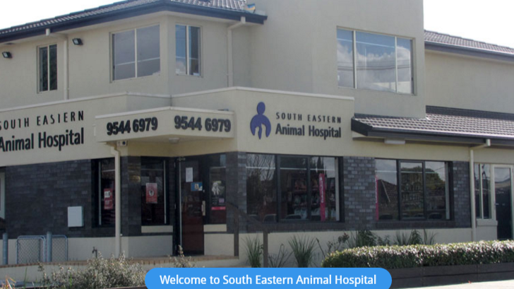 South Eastern Animal Hospital - Clayton , Australia