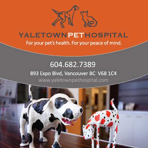 Vca Yaletown Animal Hospital - Vancouver , Canada