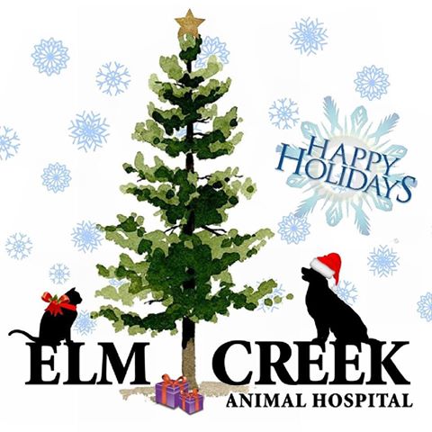 Elm Creek Veterinary Clinic - Champlin , United States