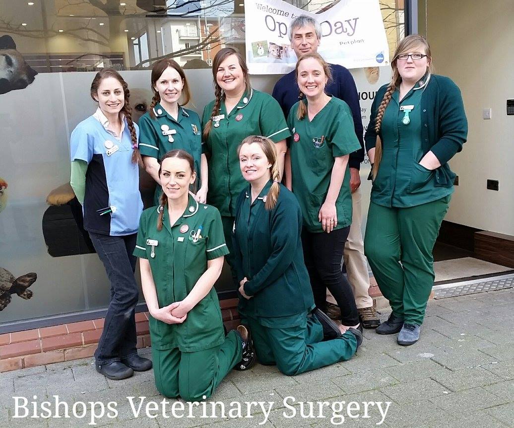 The Bishops Veterinary Surgery - Hatfield , United Kingdom