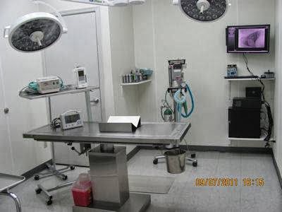 Speedway Veterinary Hospital - Tucson , United States