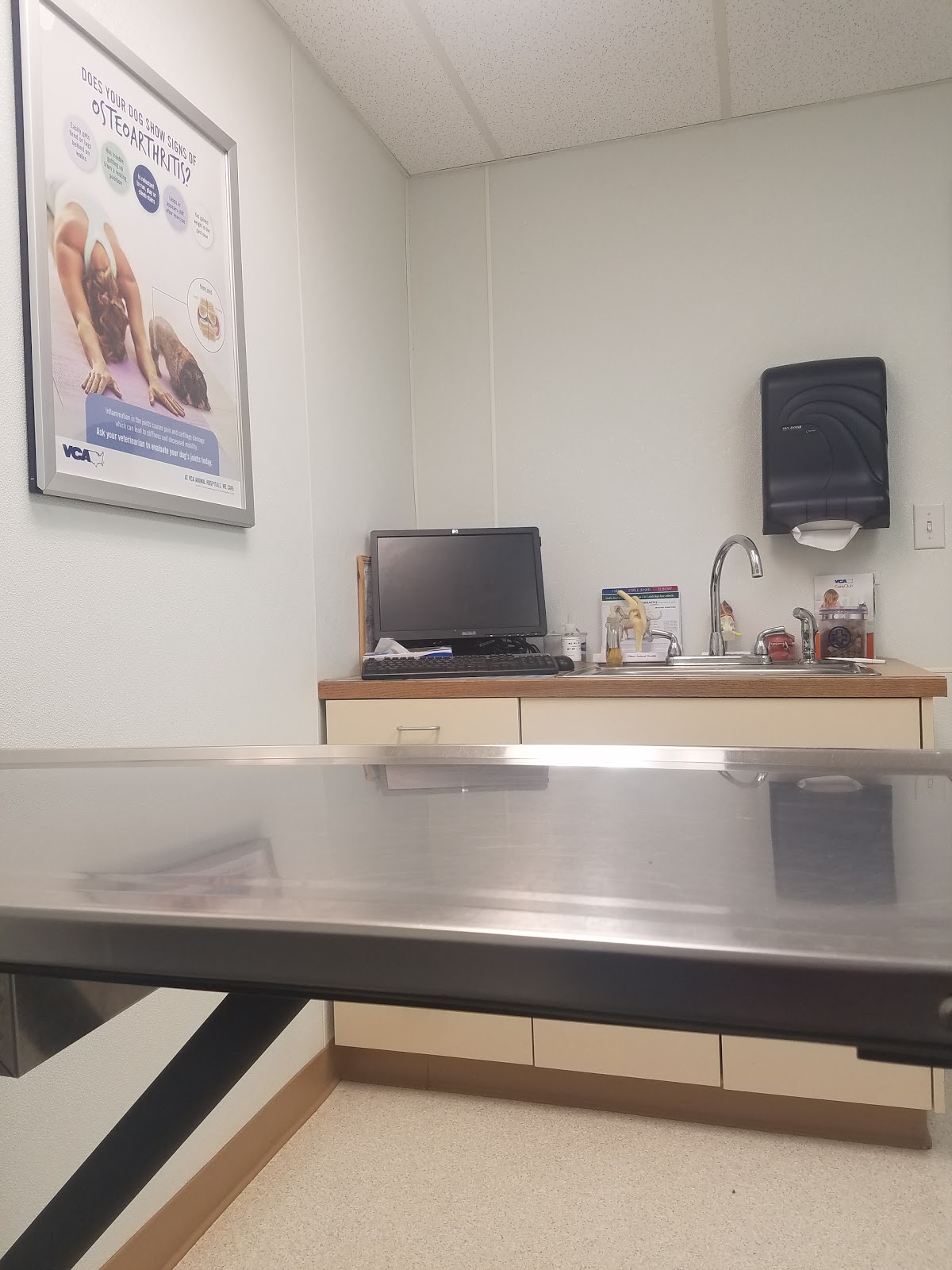 VCA Pacific Avenue South Animal Hospital - Spanaway , United States