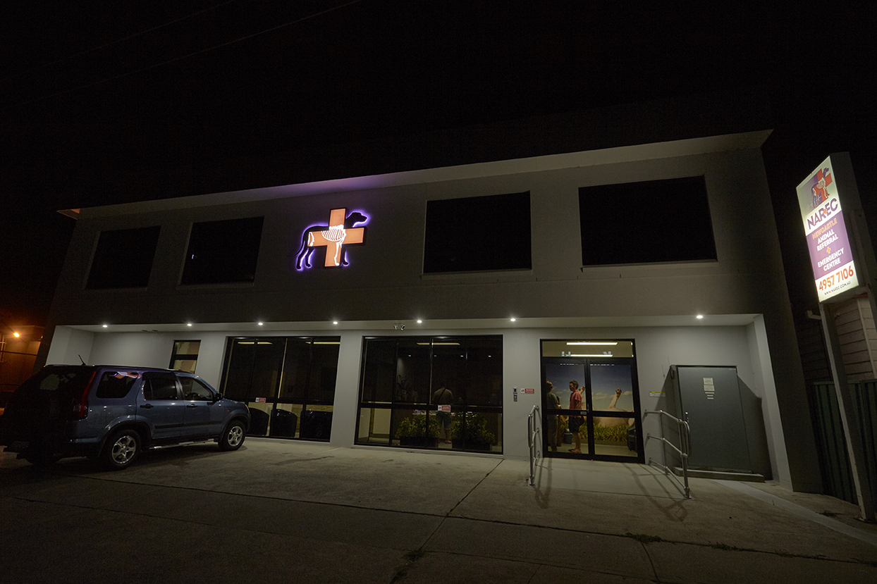 Animal Referral And Emergency Centre - Broadmeadow , Australia