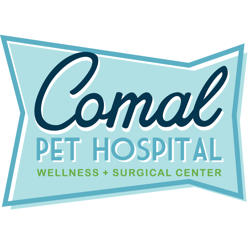 Comal Pet Hospital And Resort - New Braunfels , United States