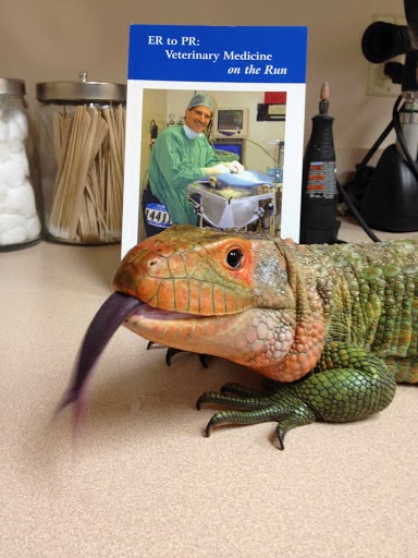 Old Country Animal Clinic - Plainview , United States