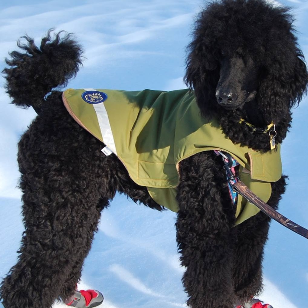 Vca Vitality Animal Hospital - Salem , United States