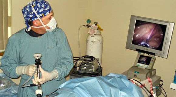 Tulsa General Veterinary Hospital - Tulsa , United States