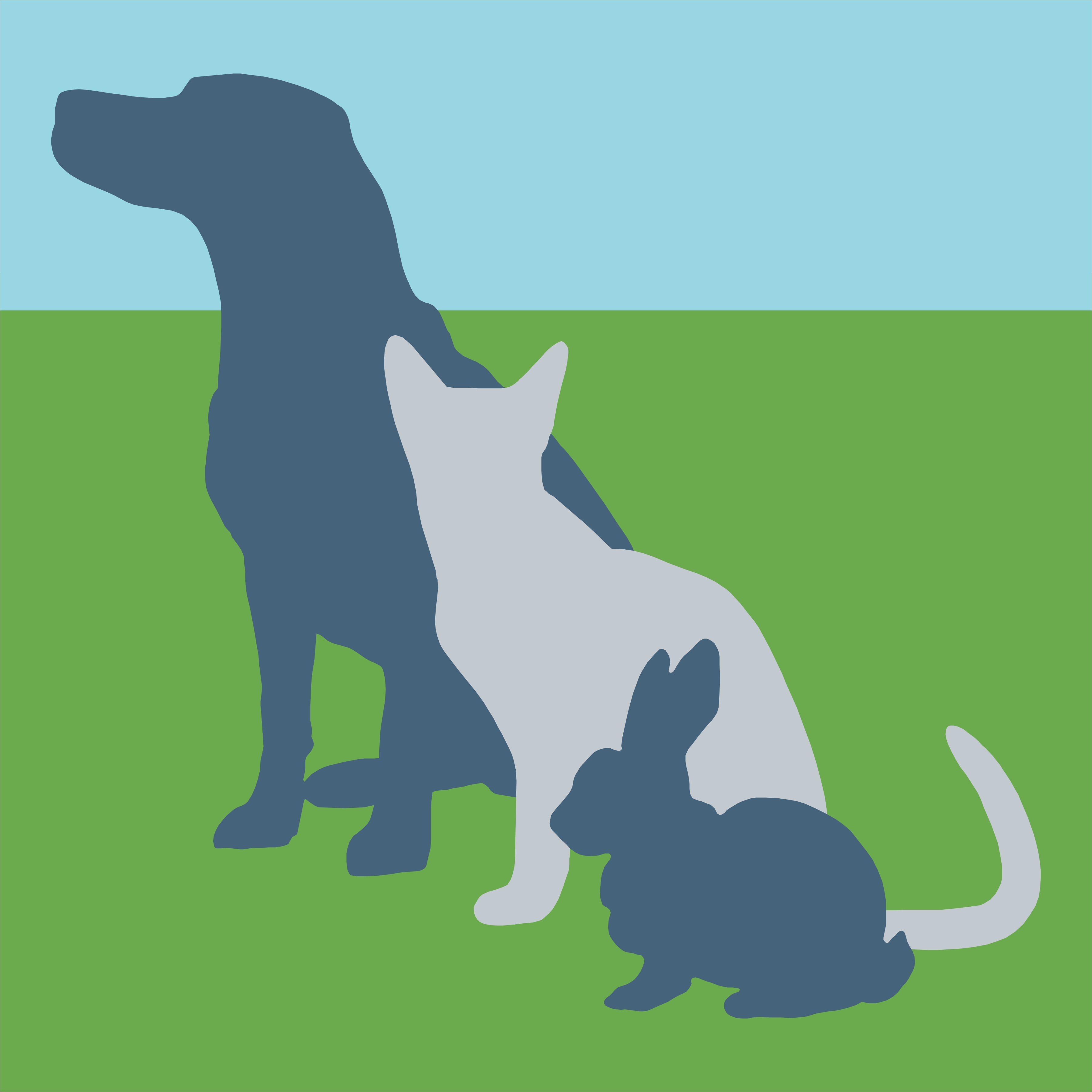 Park Veterinary Hospital - Sheffield , United Kingdom