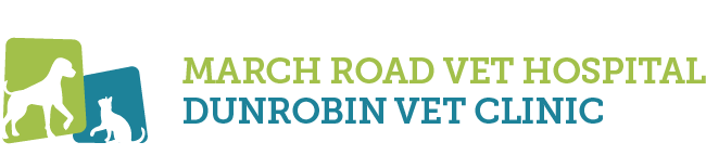March Rd Veterinary Hospital - Kanata , Canada
