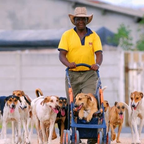 Mdzananda Animal Clinic - Cape Town , South Africa