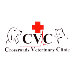 Crossroads Veterinary Clinic Cvc - Rosslyn , Canada