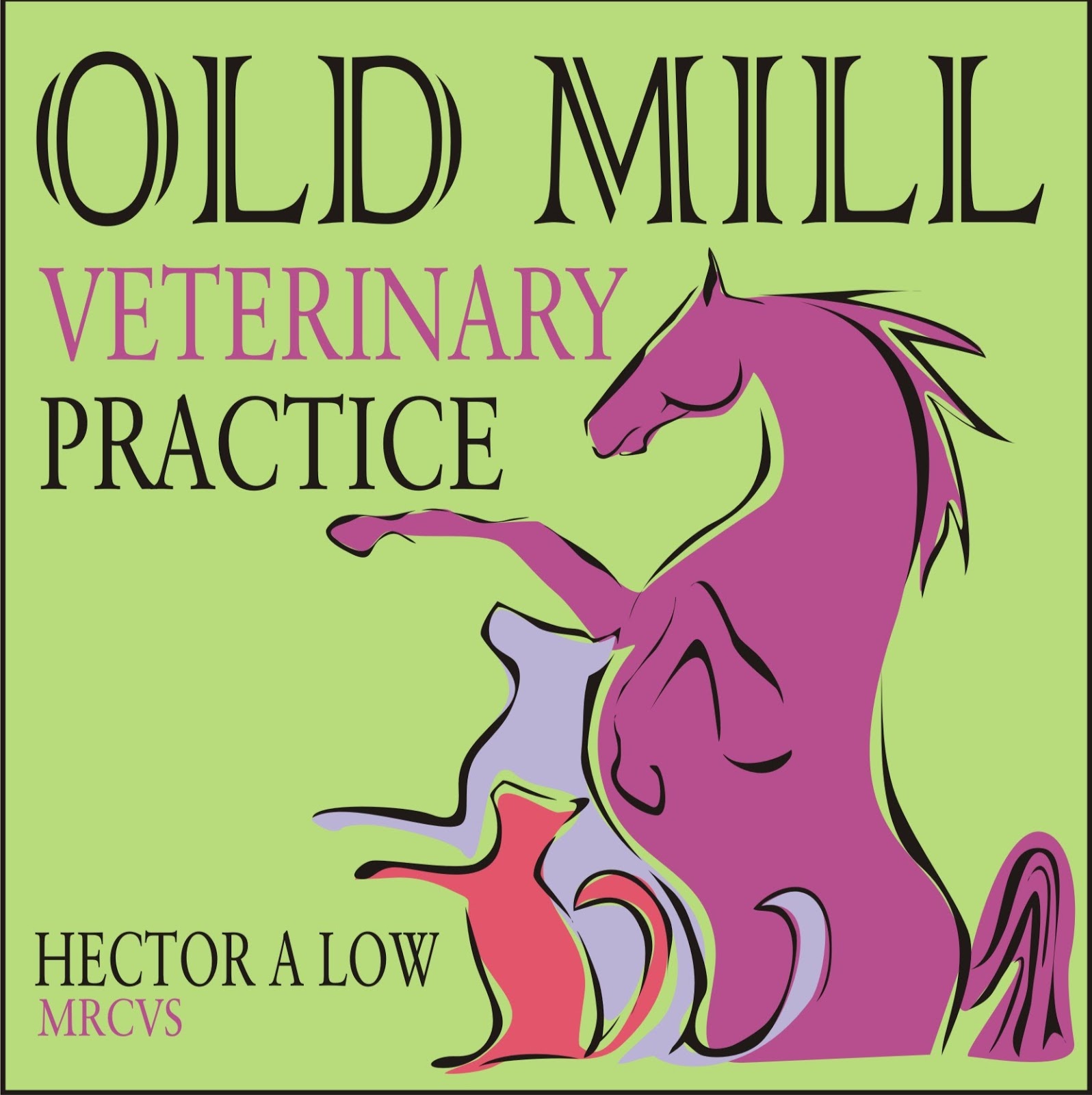 Old Mill Veterinary Practice - Stornoway , United Kingdom