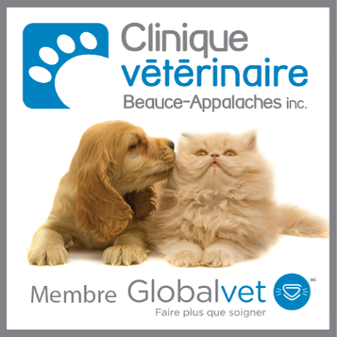 Clinique Vétérinaire Beauce Appalaches Enr - Saint-Georges , Canada