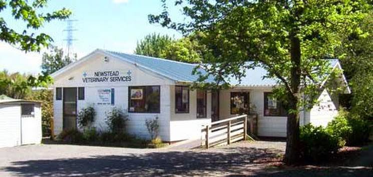 Newstead Veterinary Services - Newstead , New Zealand