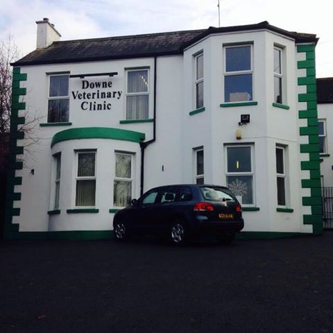 Downe Veterinary Clinic - Downpatrick , United Kingdom