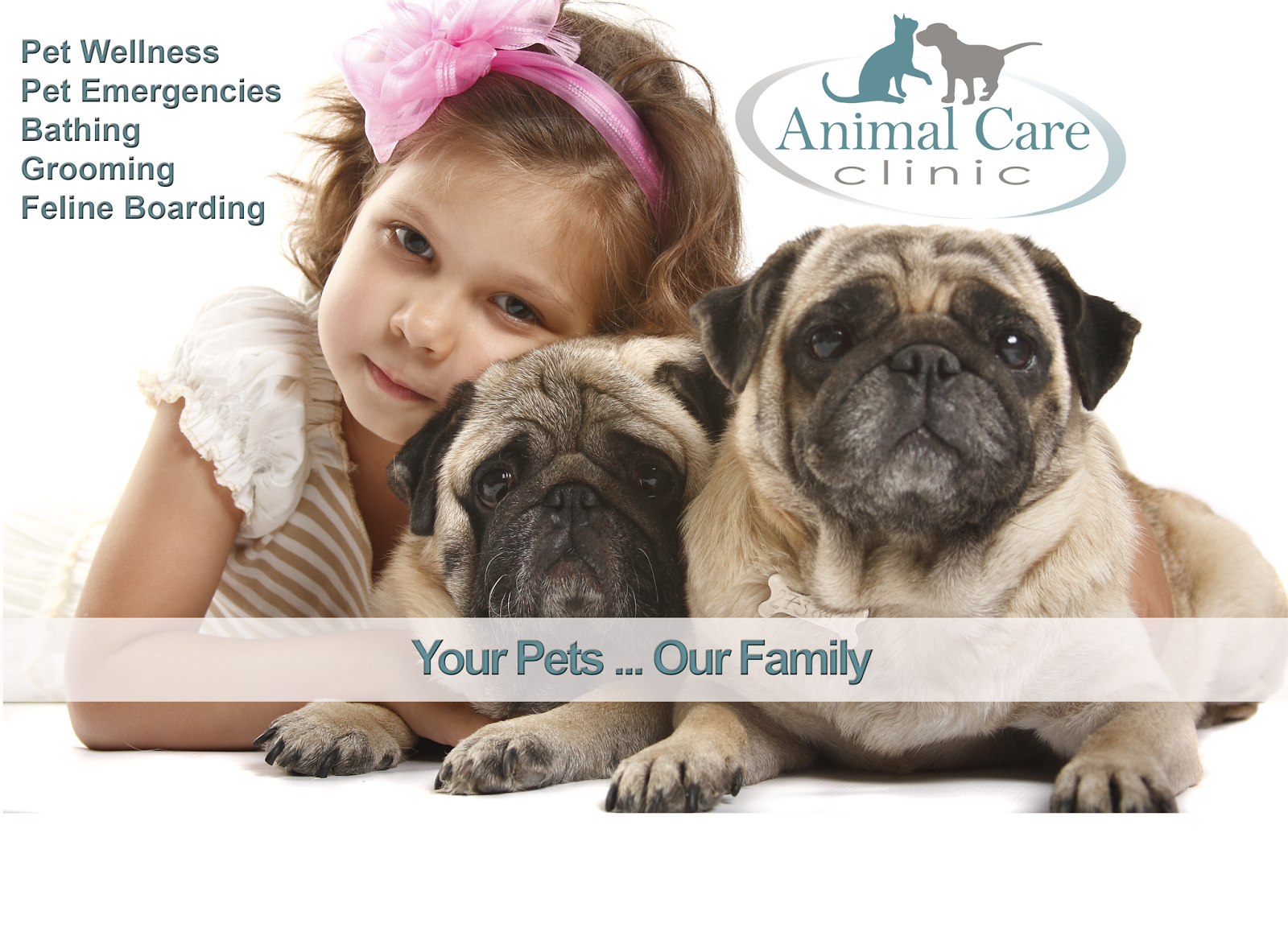 Animal Care Clinic - Round Rock , United States