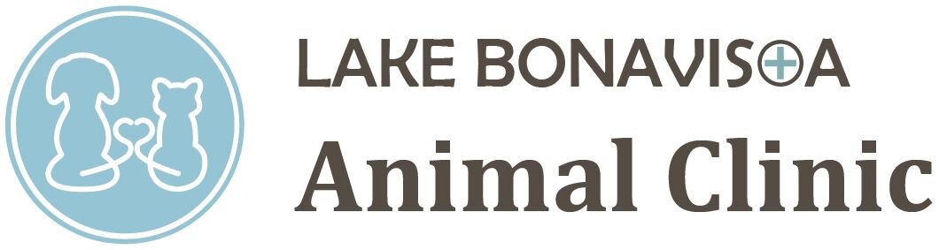 Lake Bonavista Animal Clinic - Calgary , Canada